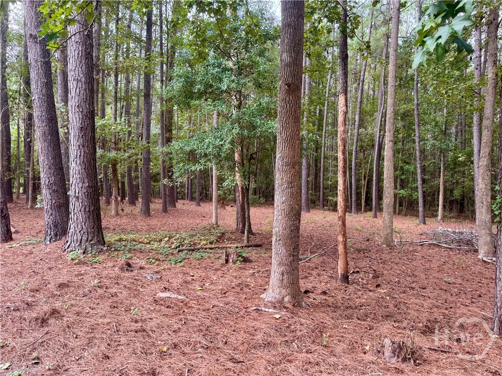 271 Thomas Circle Springfield, GA 31329 - Photo 13 of 14 Gallery Image 13
