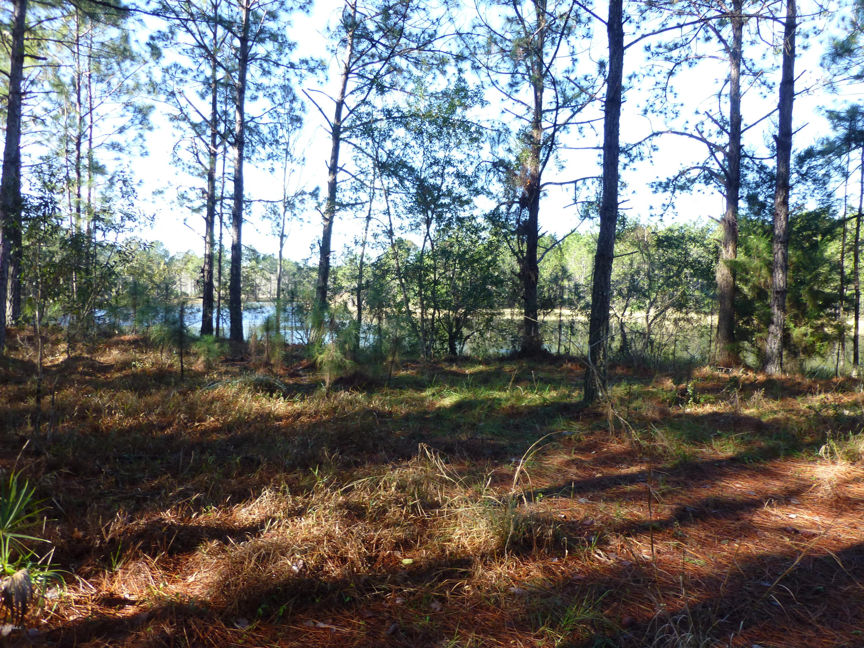 10300 Epiphyte Road Mims, FL 32754 - Photo 12 of 38 P1010469