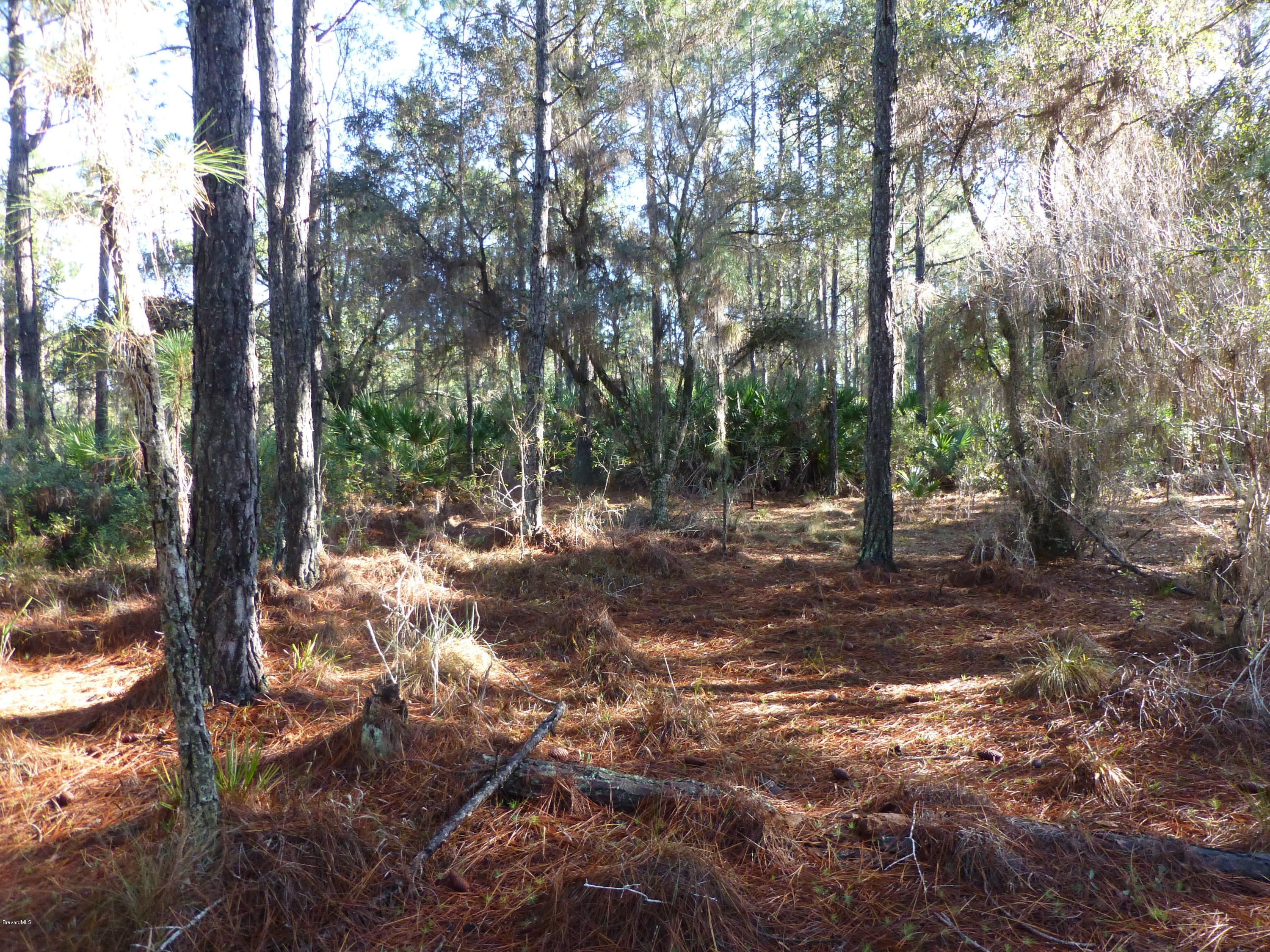 10300 Epiphyte Road Mims, FL 32754 - Photo 22 of 38 P1010448