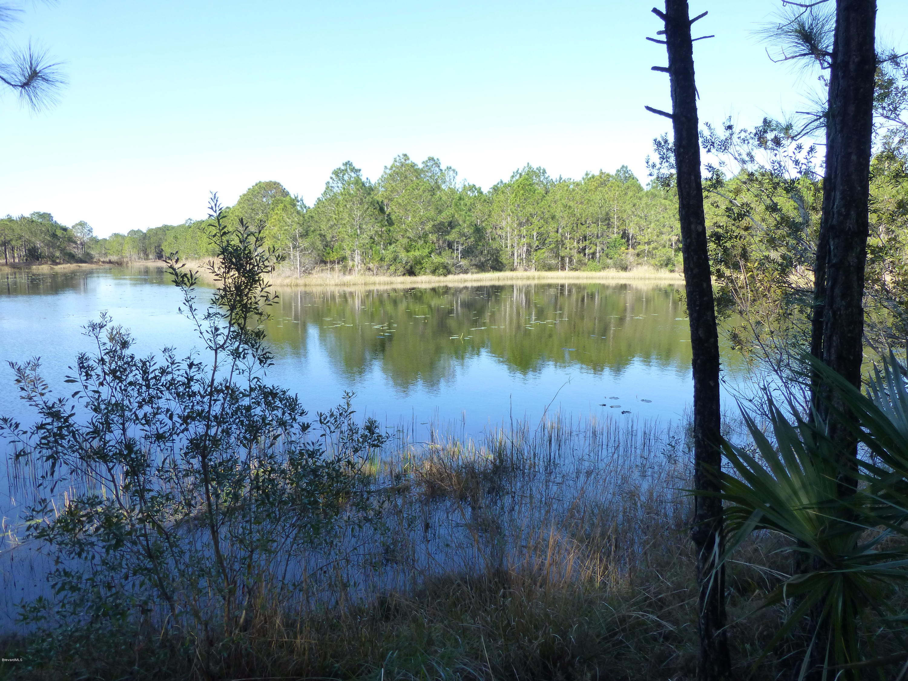 10300 Epiphyte Road Mims, FL 32754 - Photo 8 of 38 P1010464