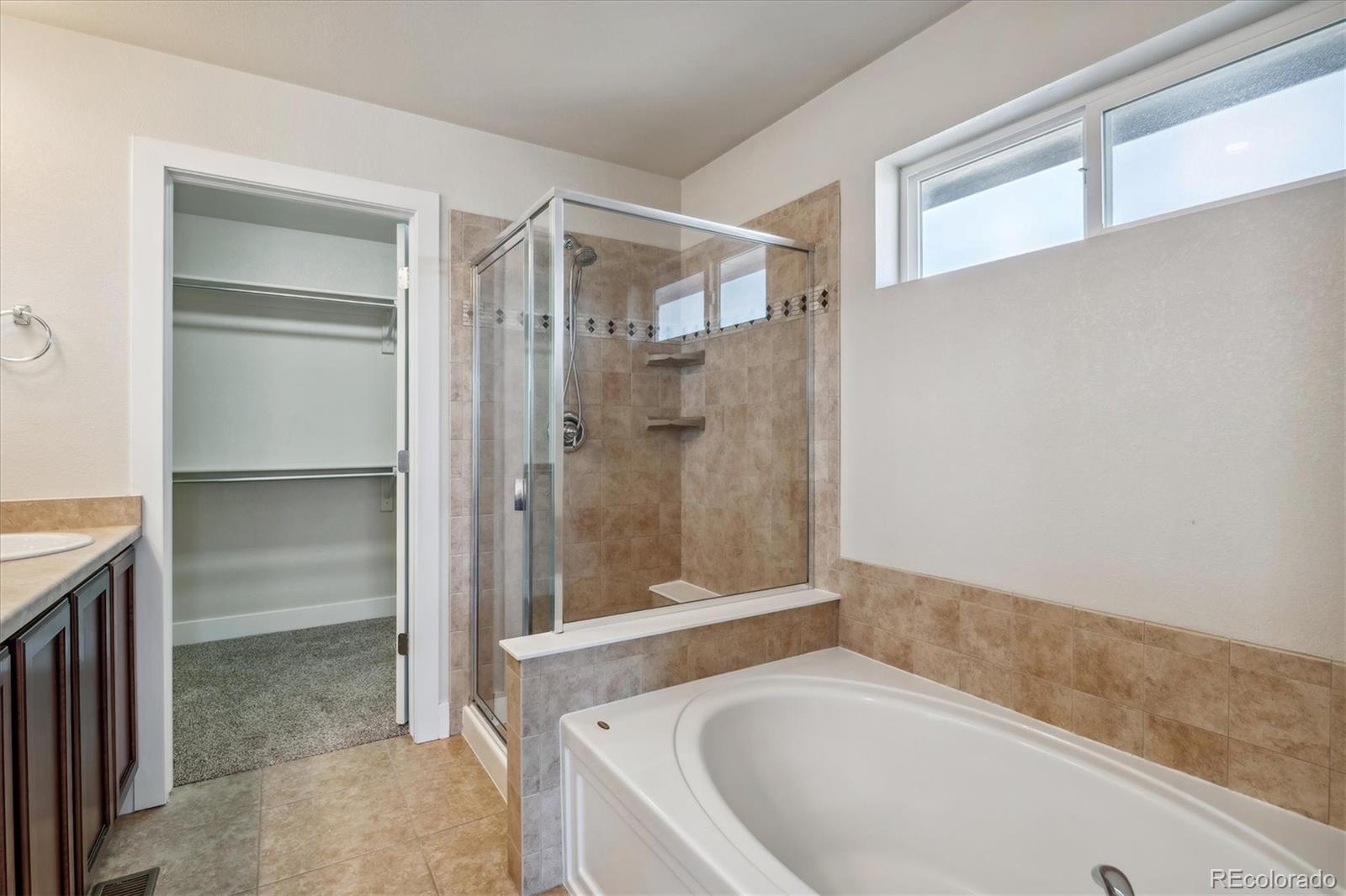 10461 Rutledge Street Parker, CO 80134 - Photo 22 of 37 Gallery Image 22