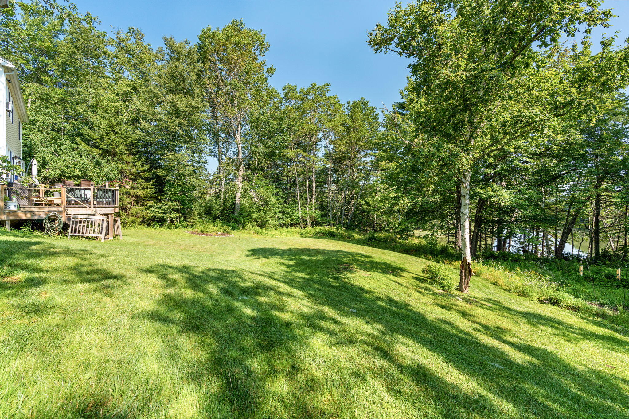 542 Wallston Road Tenants Harbor, ME 04860 - Photo 11 of 47 Back Yard