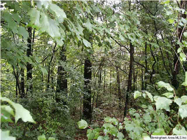 0 Reid Road, Unit 2 LOTS Oneonta, AL 35121 - Photo 1 of 9 Gallery Image 1