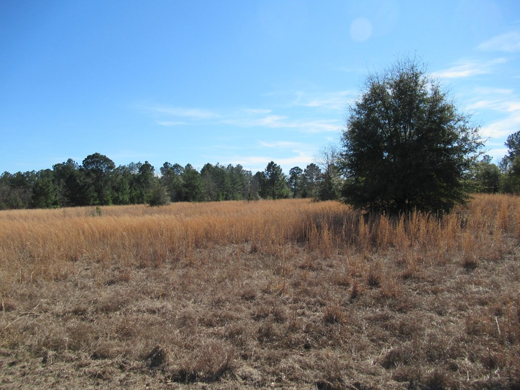 616 Knight Road Waynesboro, GA 30830 - Photo 27 of 35 Gallery Image 27
