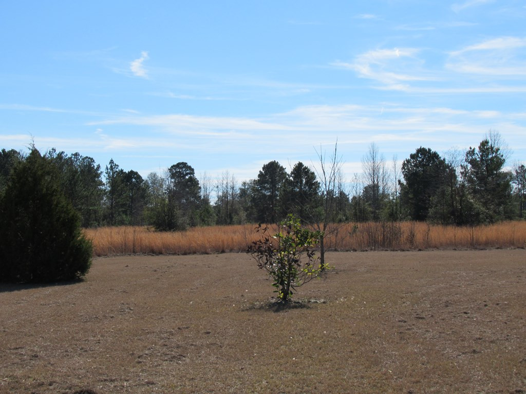 616 Knight Road Waynesboro, GA 30830 - Photo 32 of 35 Gallery Image 32