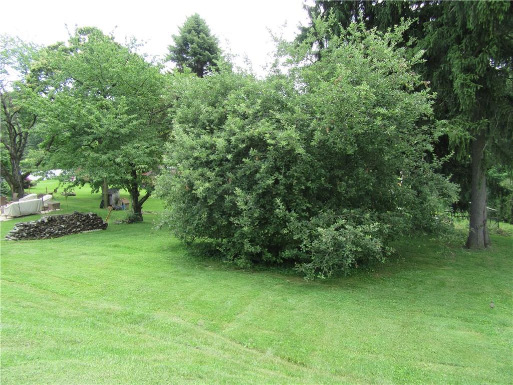 511 Coal Valley Road Jefferson Hills, PA 15025 - Photo 22 of 25 Backyard