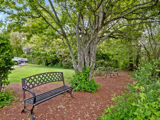 a view of a bench in a garden
