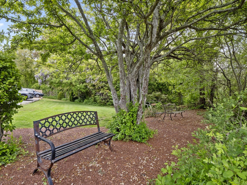 24 Bettys Pond Road, Unit K Barnstable, MA 02601 - Photo 11 of 40 a view of a bench in a garden