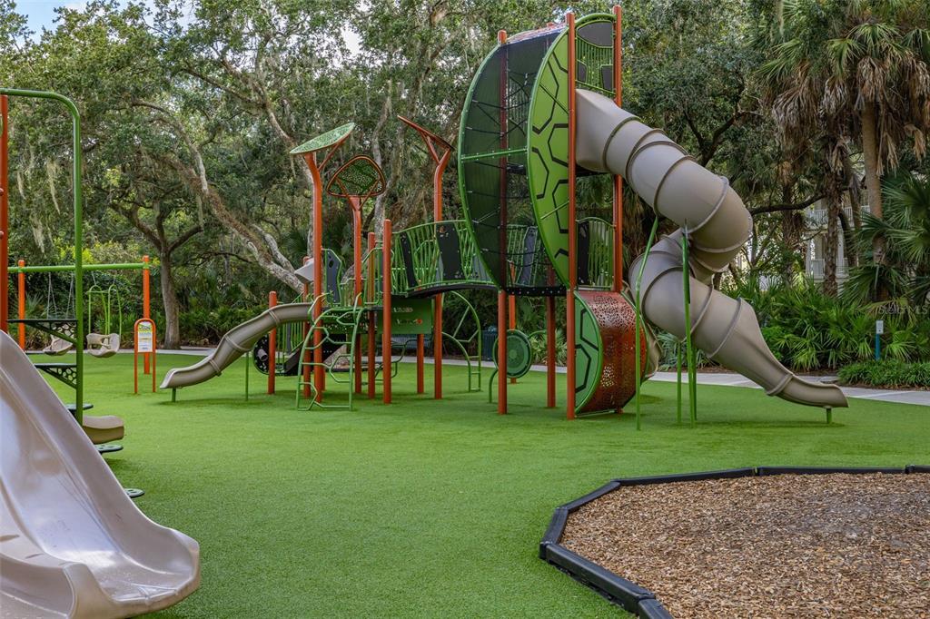 921 Begonia Road, Unit 203 Celebration, FL 34747 - Photo 73 of 79 Gallery Image 73