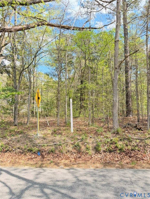 0 Cedar Grove Road Lawrenceville, VA 23868 - Photo 4 of 4