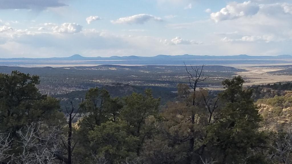 45 Elk Ridge Road Pie Town, NM 87827 - Photo 1 of 1 Gallery Image 1