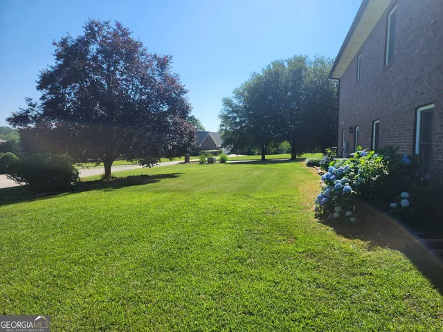 a view of a garden with a bench