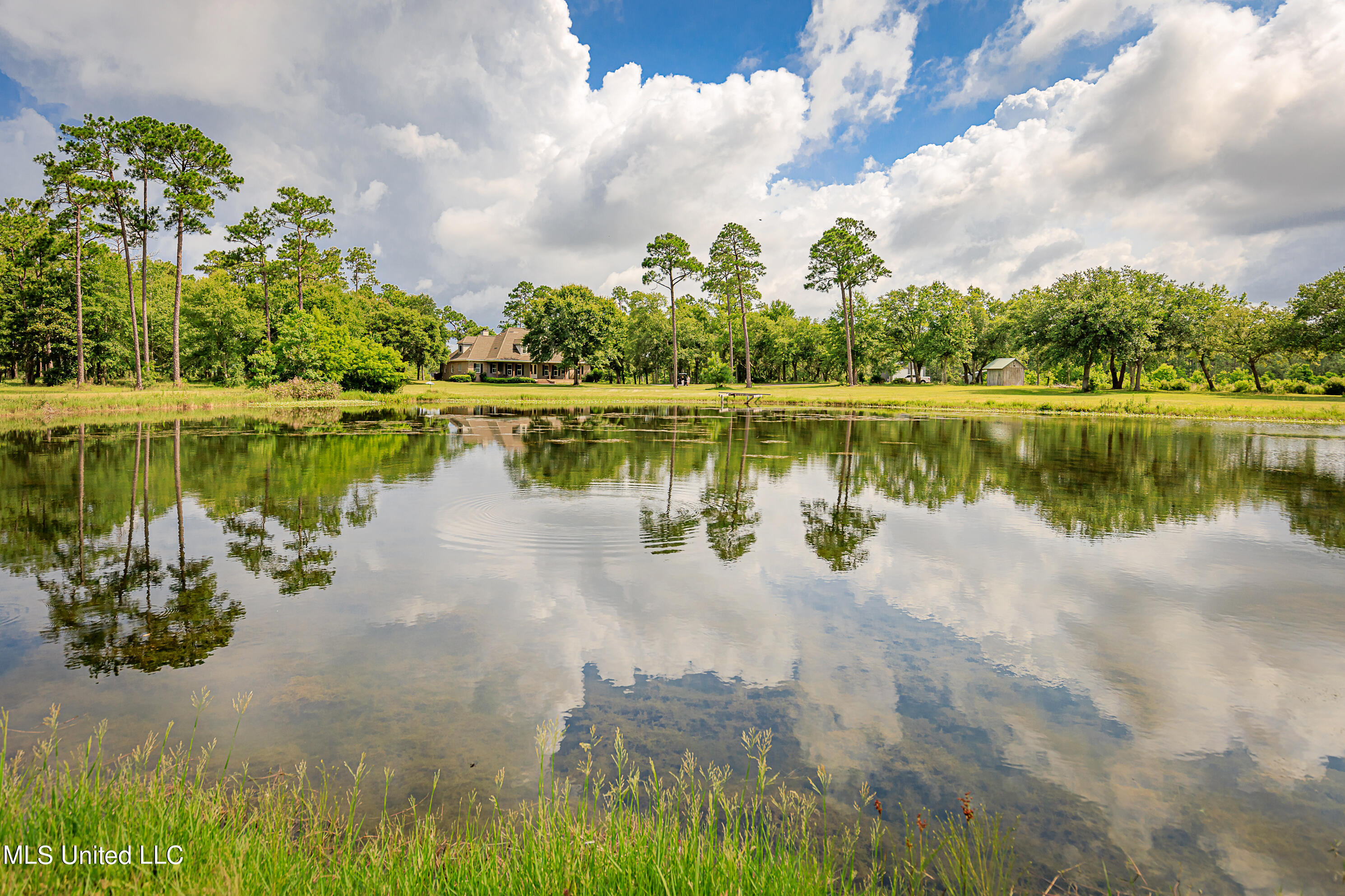23444 Arcadia Farm Road Pass Christian, MS 39571 - Photo 4 of 78 Stocked Pond