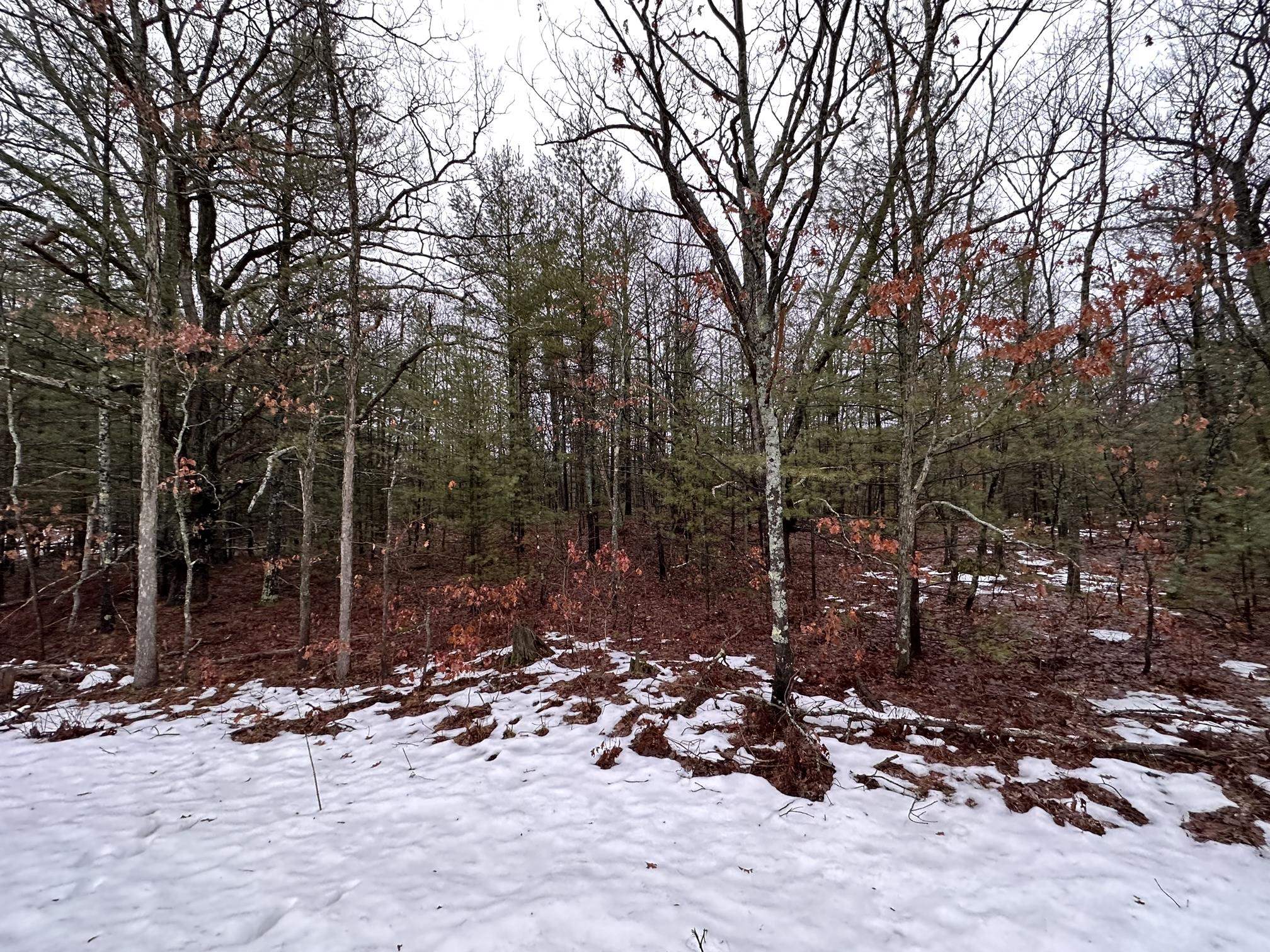 E Albrecht Road Interlochen, MI 49643 - Photo 2 of 6
