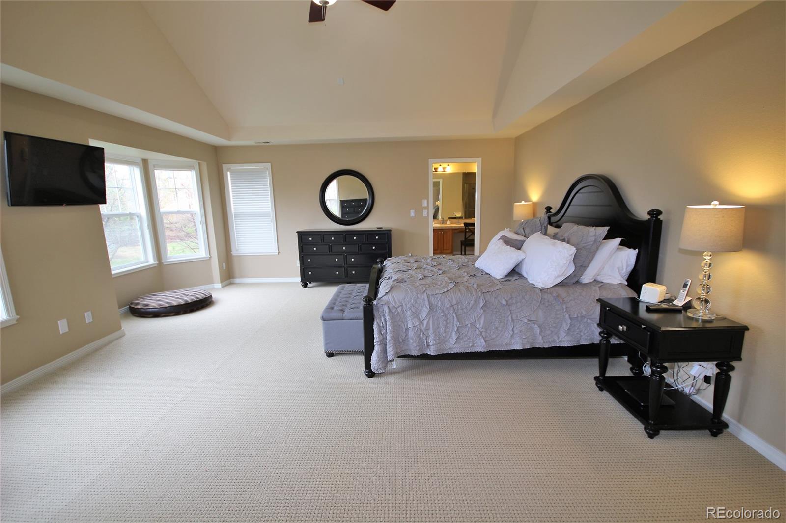 10596 Ridgecrest Circle Highlands Ranch, CO 80129 - Photo 14 of 35 Gallery Image 14
