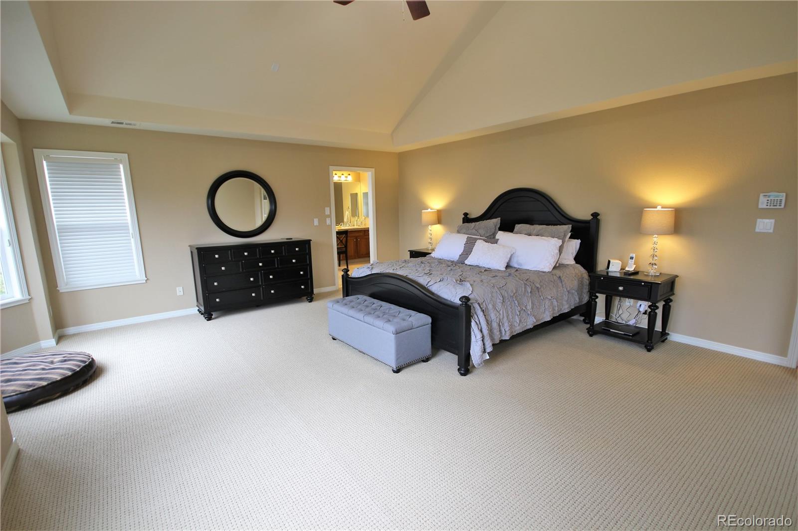10596 Ridgecrest Circle Highlands Ranch, CO 80129 - Photo 15 of 35 Gallery Image 15