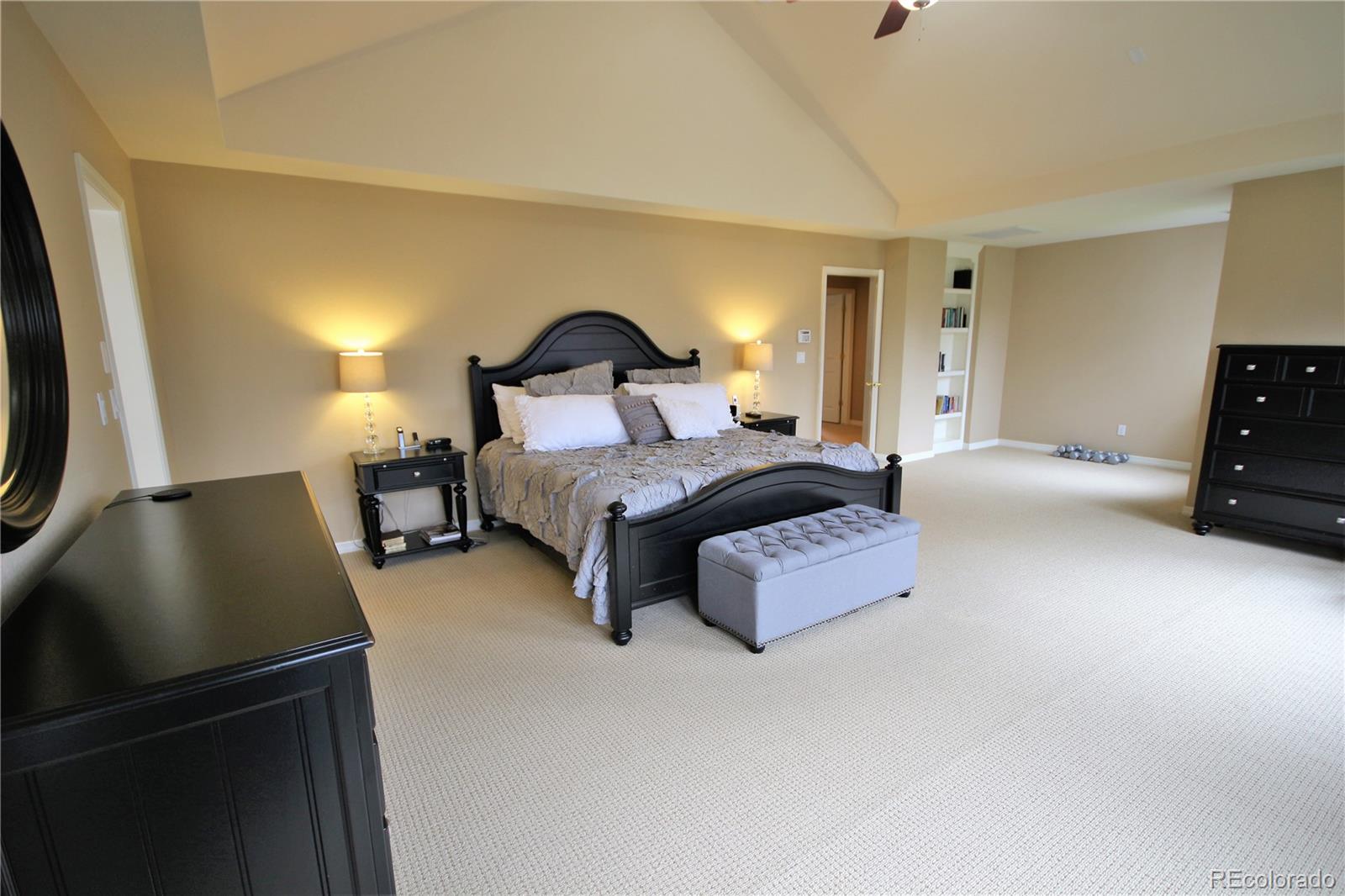 10596 Ridgecrest Circle Highlands Ranch, CO 80129 - Photo 16 of 35 Gallery Image 16