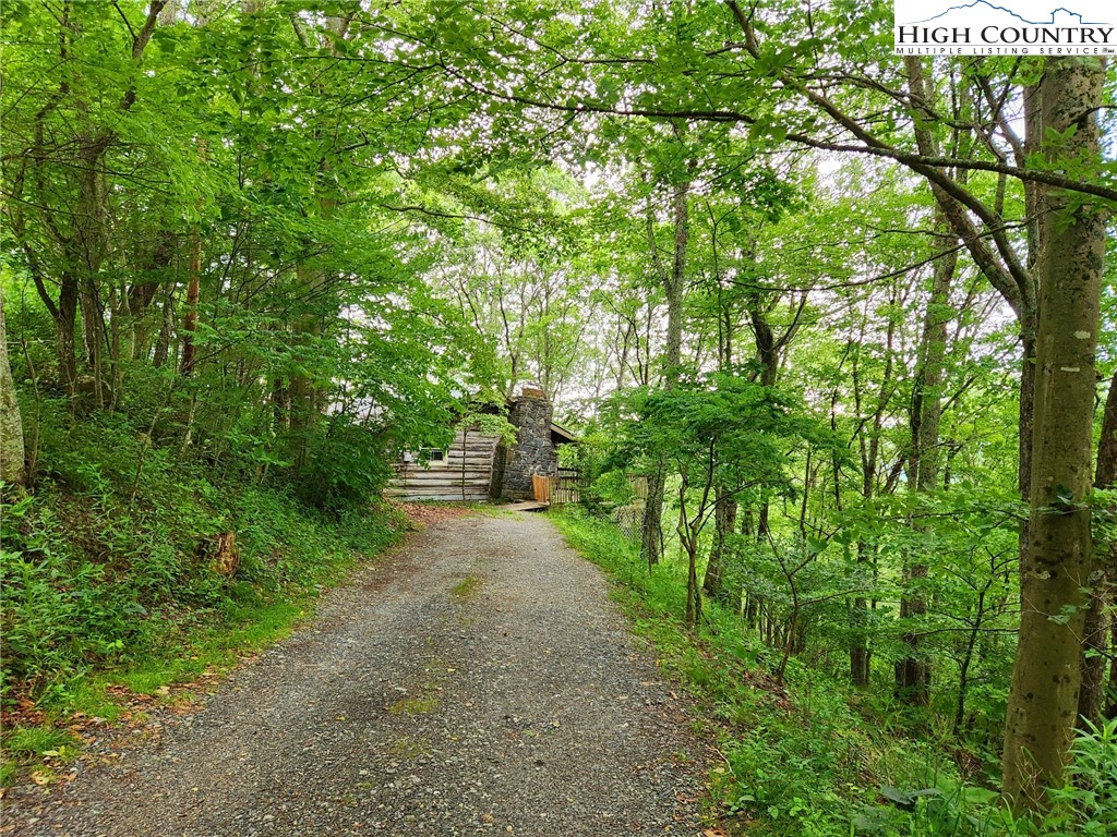 502 Lynn Hill Road Boone, NC 28607 - Photo 8 of 25 Gallery Image 8