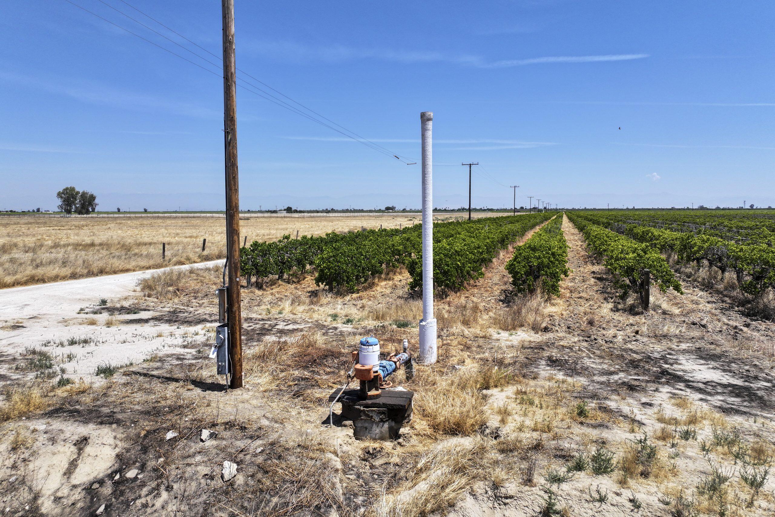 Howard Road Earlimart, CA 93219 - Photo 7 of 12 2026-05-11-Schuil-For-Sale-Earlimart-238