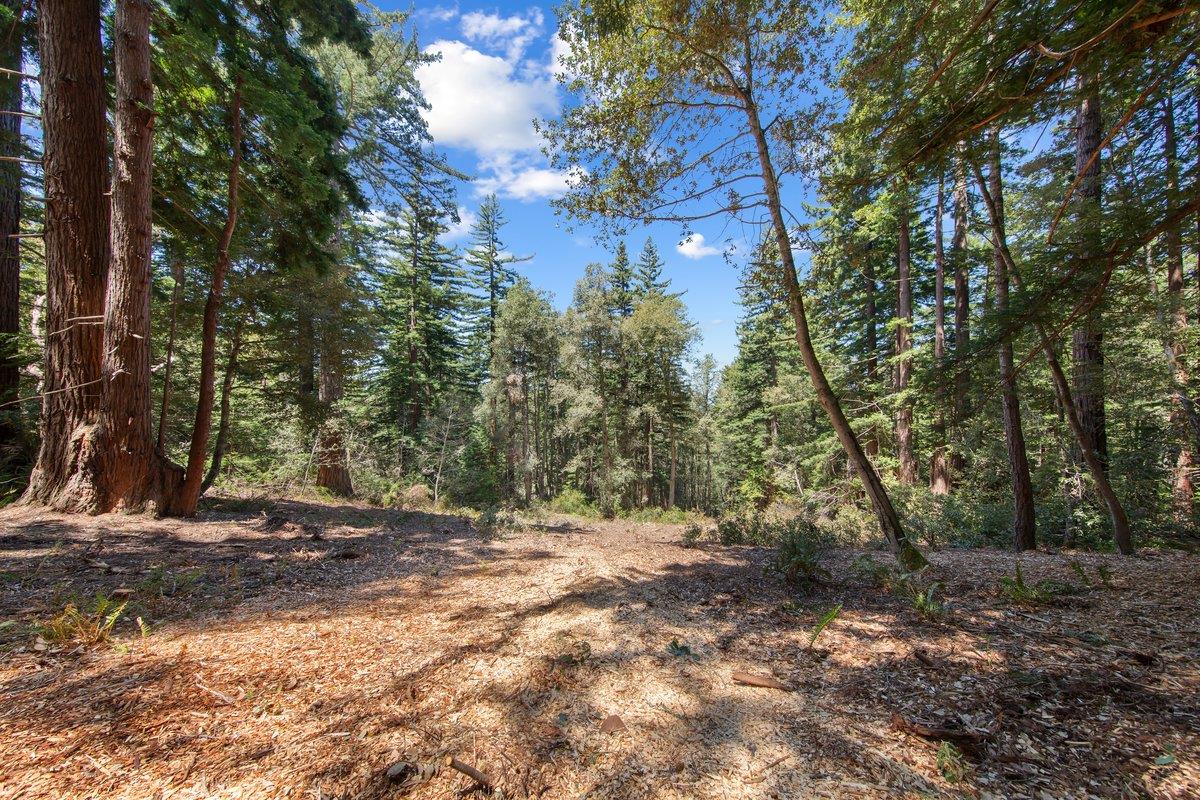 0 Native Sons Road Redwood City, CA 94062 - Photo 3 of 28