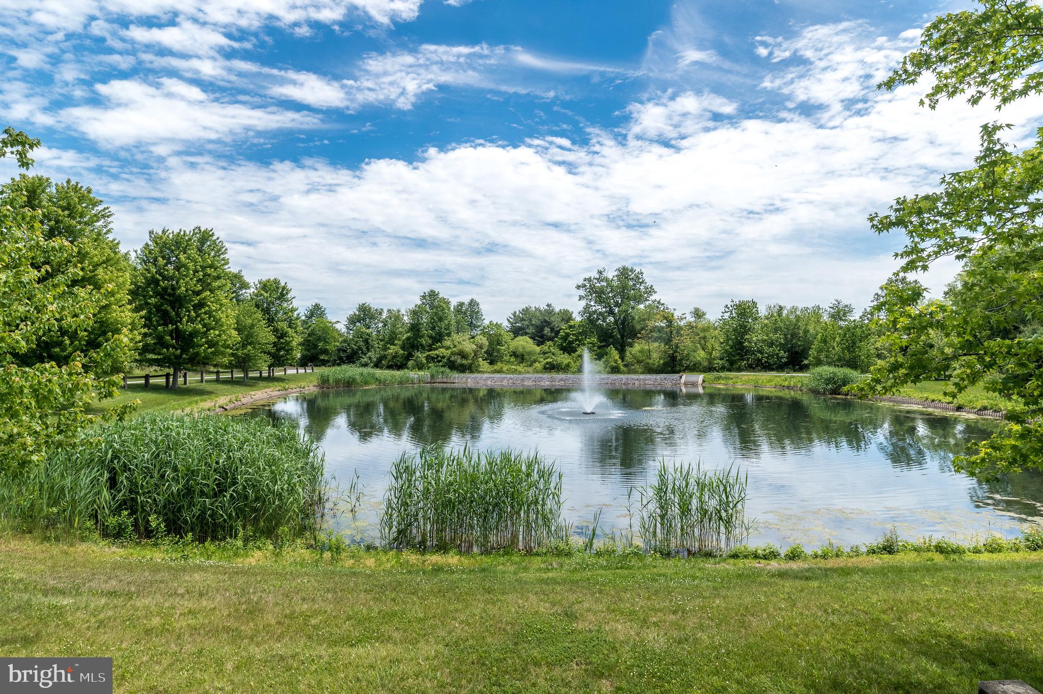 300 Dryden Road Dresher, PA 19025 - Photo 51 of 74 Pond