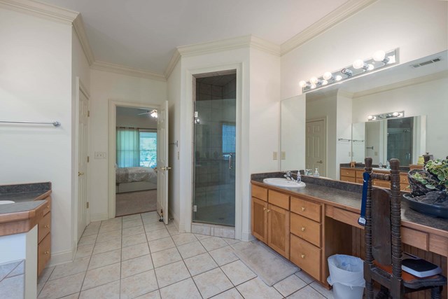 2121 Lee Road Salem, AL 36874 - Photo 13 of 29 a spacious bathroom with a granite countertop sink a mirror and a shower
