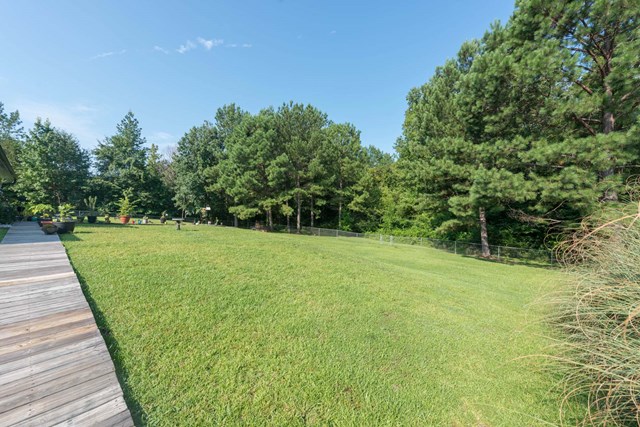 2121 Lee Road Salem, AL 36874 - Photo 22 of 29 a view of a yard with a trees