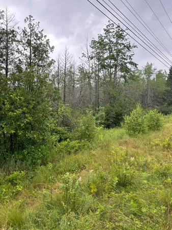 $125,000 | Lot 60 Tenan Lane, Cherryfield, ME 04622