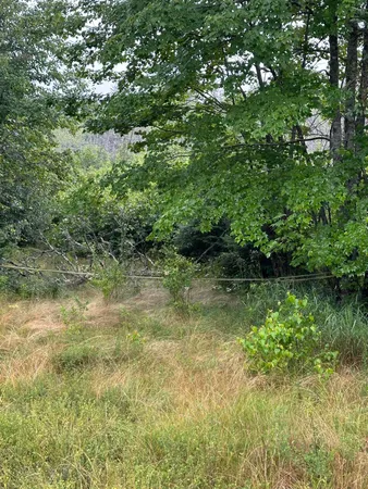 $125,000 | Lot 60 Tenan Lane, Cherryfield, ME 04622