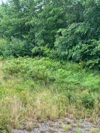 $125,000 | Lot 60 Tenan Lane, Cherryfield, ME 04622