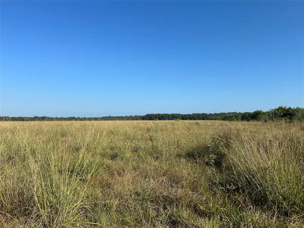 $160,800 | Lot 3 Minnie West Drive, Hull, TX 77564