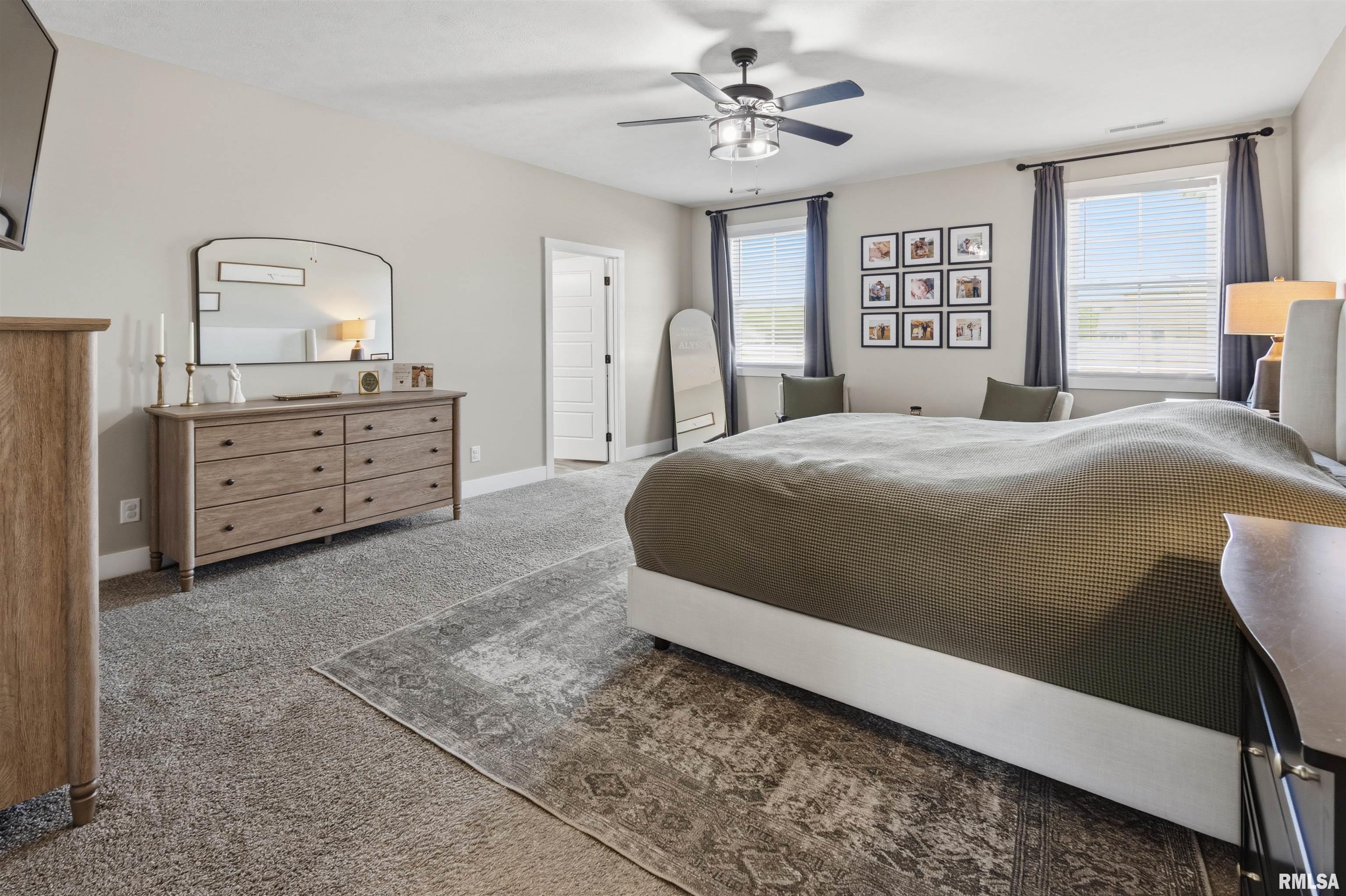 880 Sycamore Road Carbondale, IL 62901 - Photo 16 of 34 Gallery Image 16