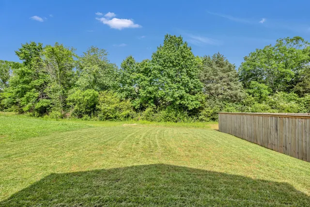 a view of backyard with seating and green space