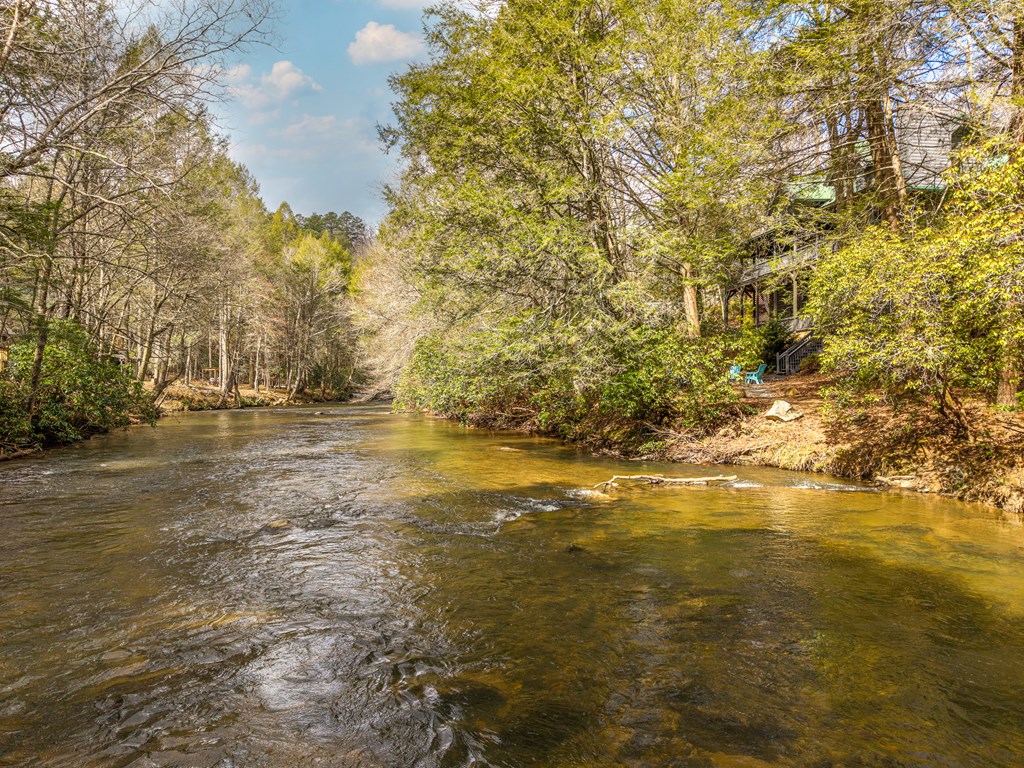 252 Branch Creek Road Blue Ridge, GA 30513 - Photo 17 of 79 Gallery Image 17
