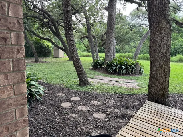 a view of a garden with a tree