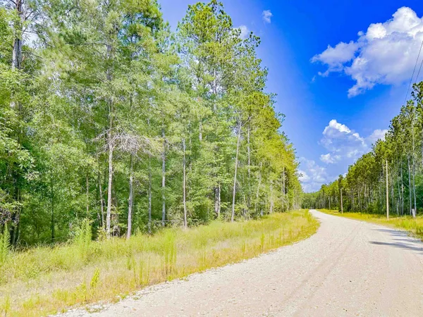 $115,000 | 9010 Carter Ranch Road, Kountze, TX 77625