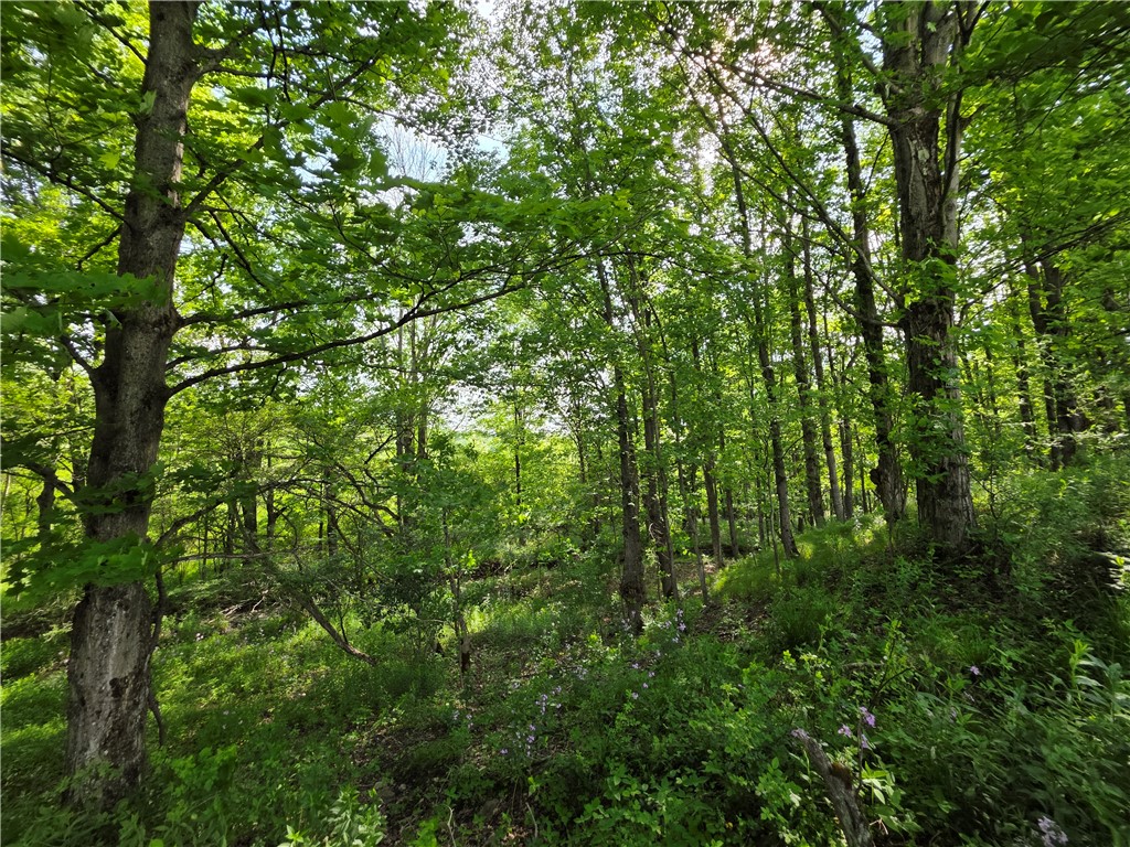 Potter Road Greenwood, NY 14839 - Photo 13 of 23