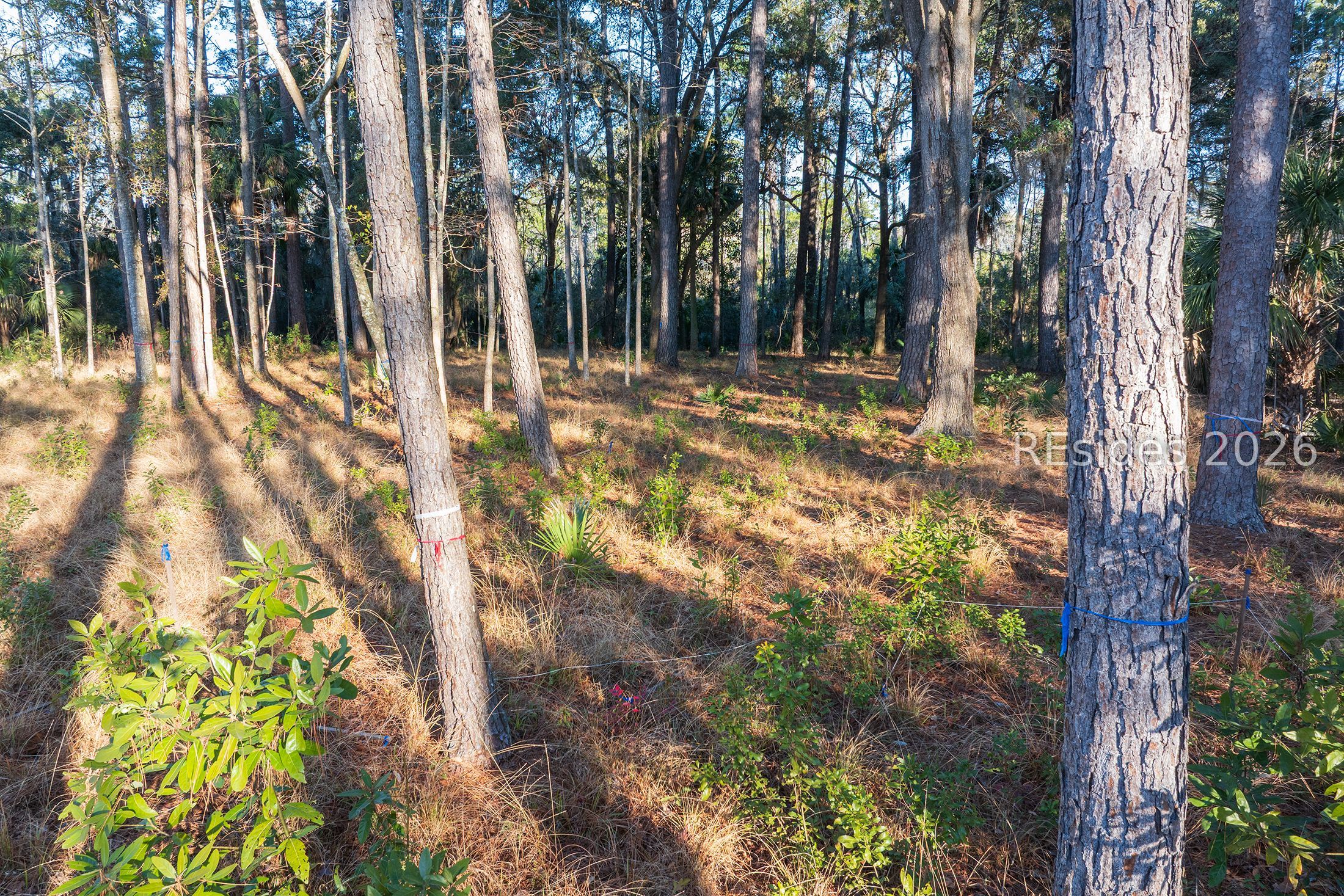 196 Vinson Road Bluffton, SC 29910 - Photo 16 of 22