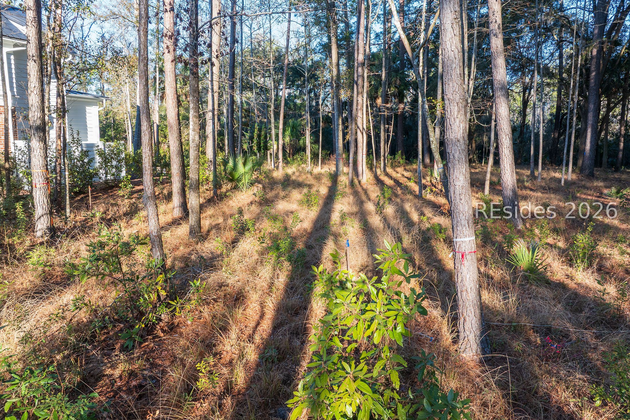 196 Vinson Road Bluffton, SC 29910 - Photo 17 of 22
