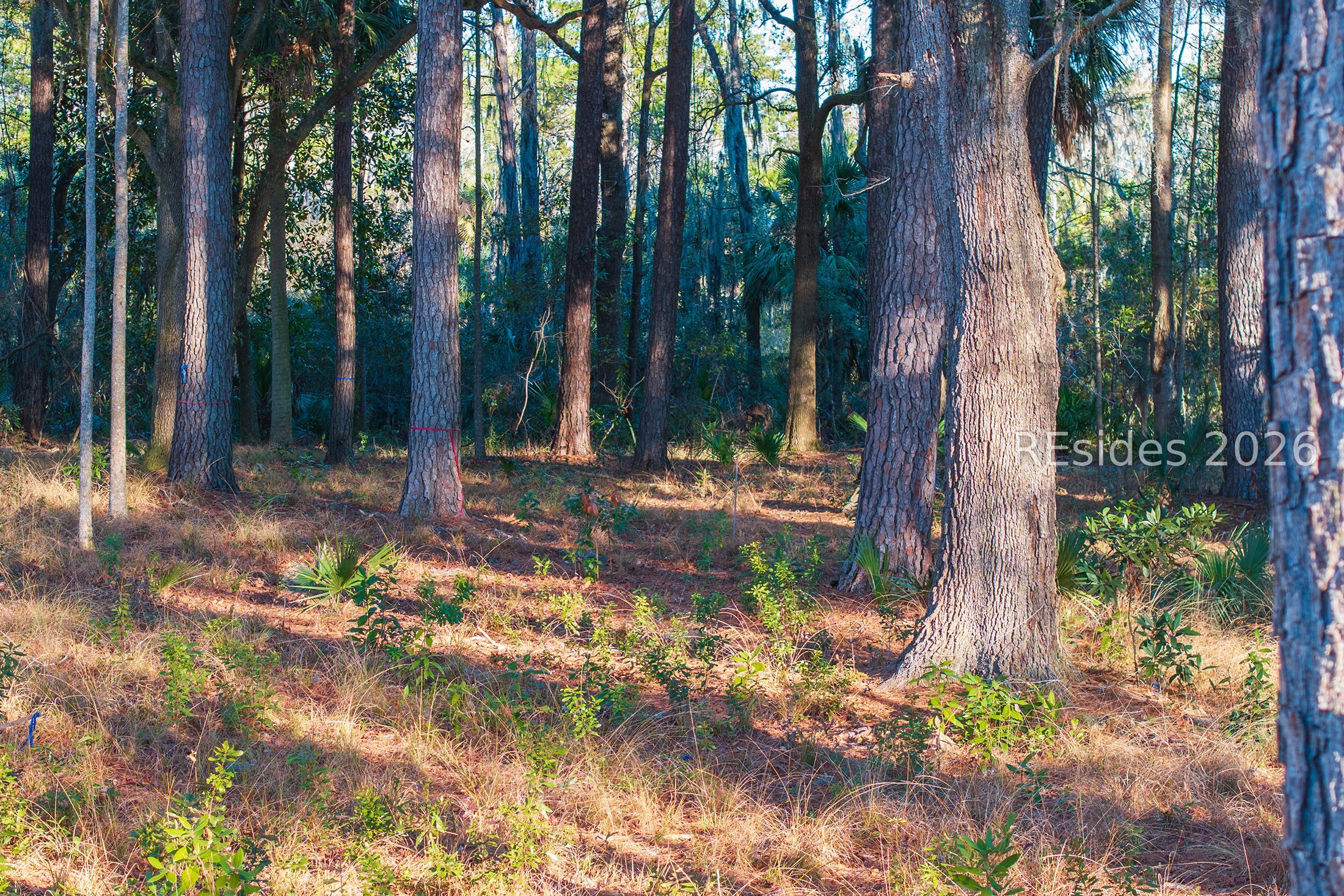 196 Vinson Road Bluffton, SC 29910 - Photo 19 of 22