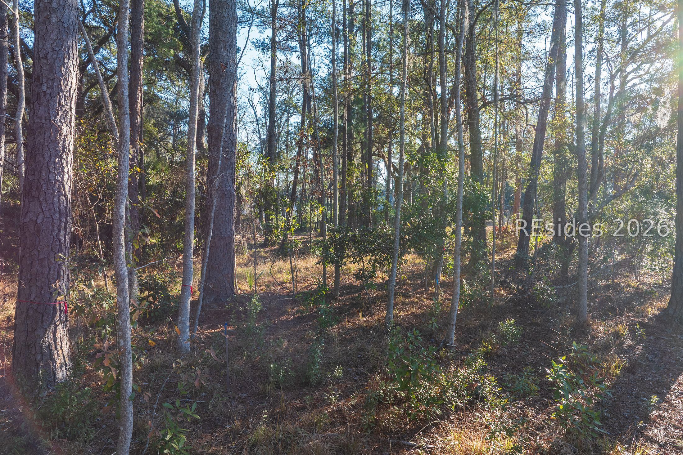 196 Vinson Road Bluffton, SC 29910 - Photo 20 of 22