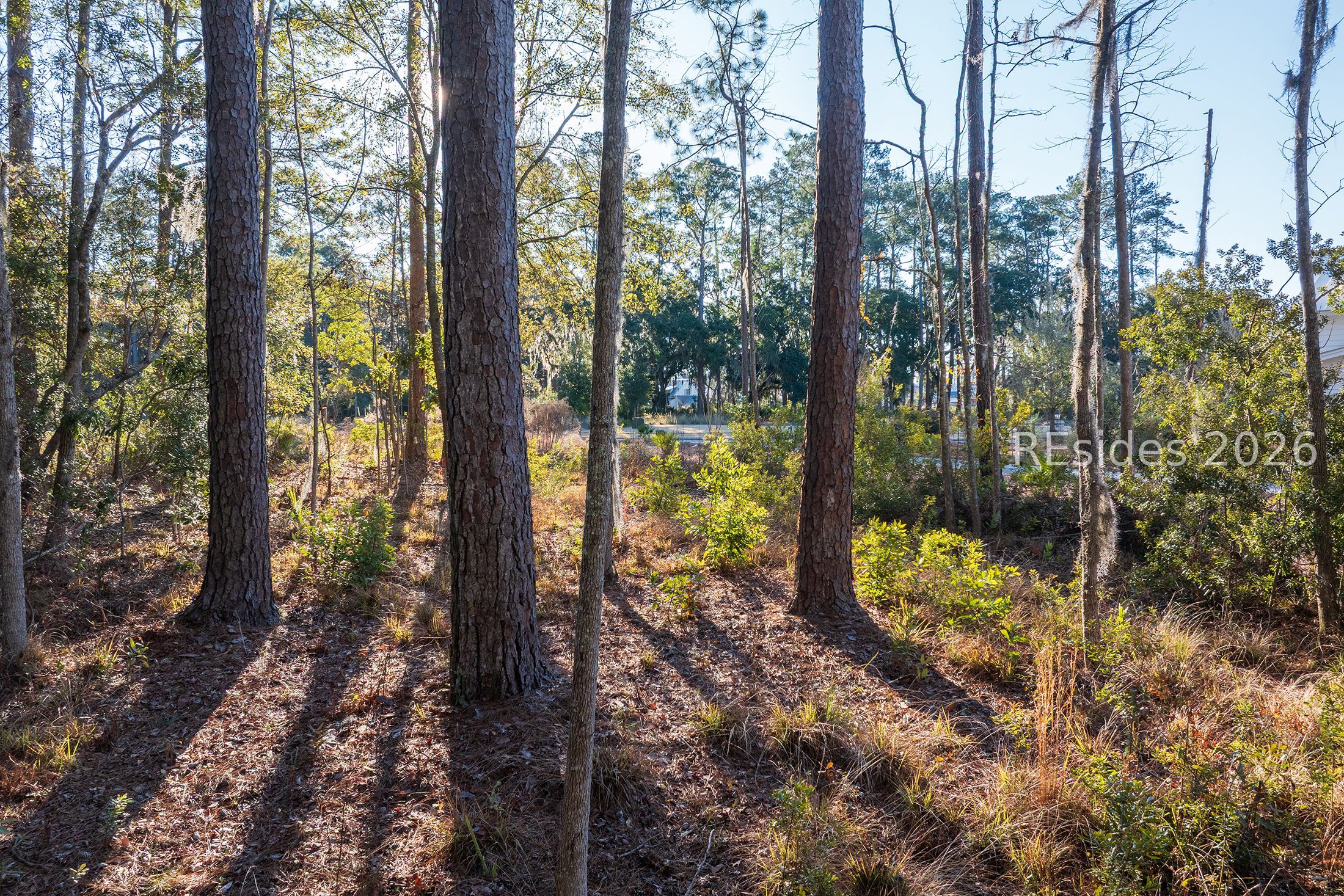 196 Vinson Road Bluffton, SC 29910 - Photo 21 of 22