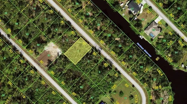 a view of a yard with a tree