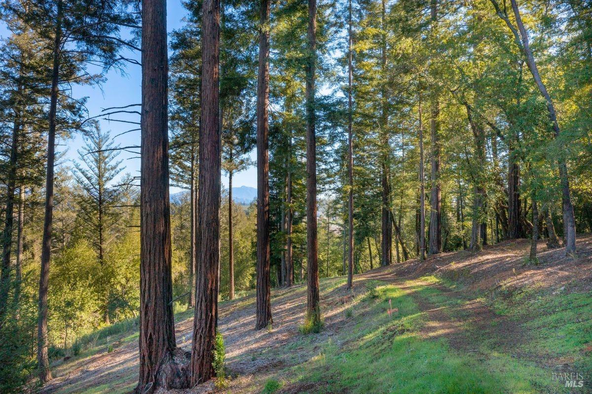 3210 West Dry Creek Road Healdsburg, CA 95448 - Photo 13 of 43