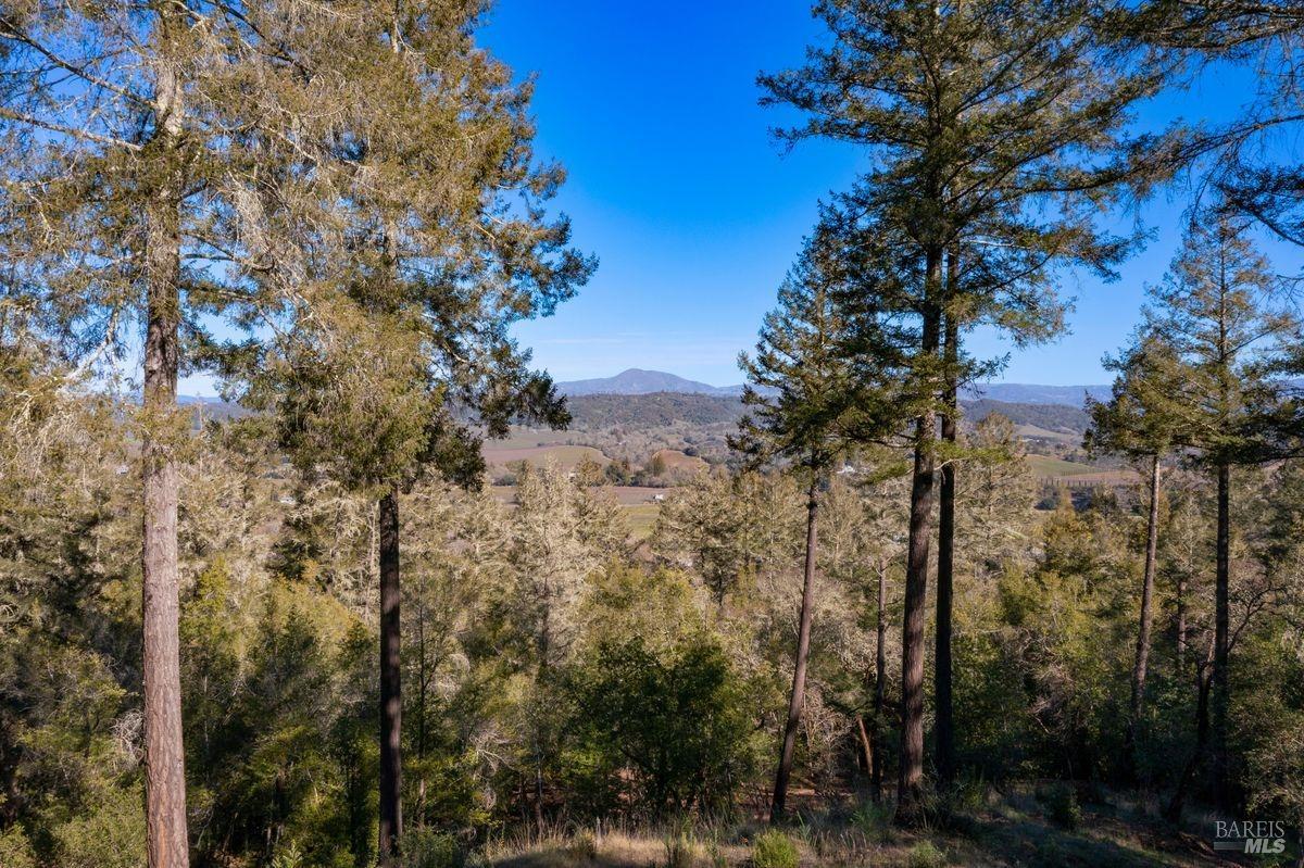 3210 West Dry Creek Road Healdsburg, CA 95448 - Photo 24 of 43