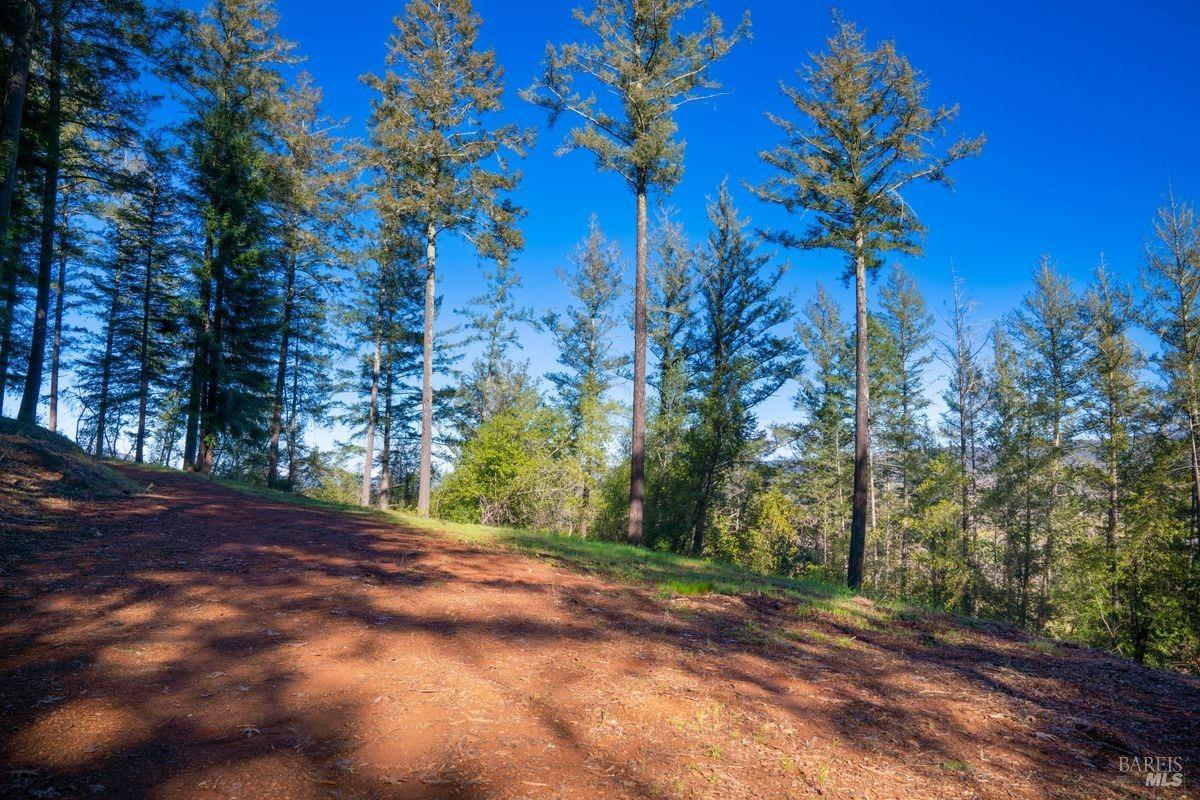 3210 West Dry Creek Road Healdsburg, CA 95448 - Photo 25 of 43