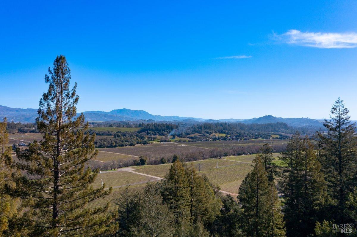 3210 West Dry Creek Road Healdsburg, CA 95448 - Photo 29 of 43