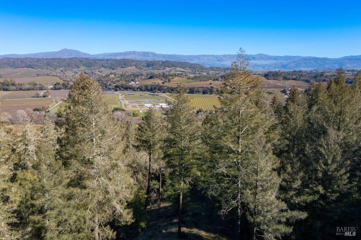 3210 West Dry Creek Road Healdsburg, CA 95448 - Photo 30 of 43