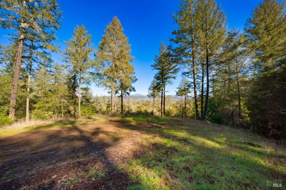 3210 West Dry Creek Road Healdsburg, CA 95448 - Photo 33 of 43