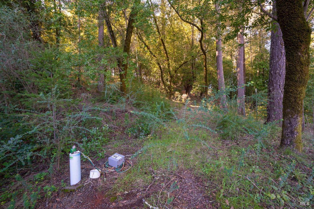 3210 West Dry Creek Road Healdsburg, CA 95448 - Photo 40 of 43